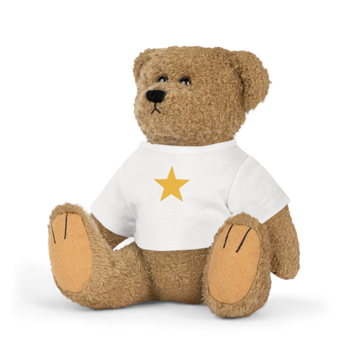 Pop Star Bear with T-Shirt